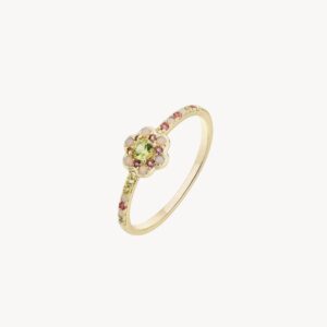 Anillo Albeta