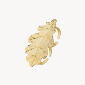 Anillo Moncayo